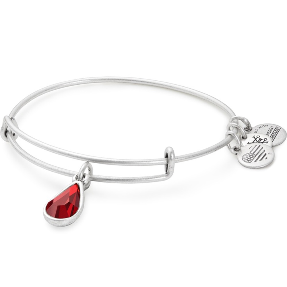 Jan Birth Month Charm Bangle W Swarovski® Crystals